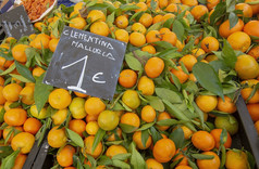 克莱门泰水果显示冬天市场马略卡岛西班牙克莱门泰水果显示冬天市场