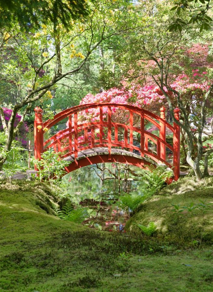 日本花园与红色的桥的黑格荷兰的开放为公共公园被称为房地产clingendael红色的桥日本花园