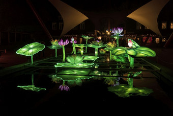 rhenen荷兰12月- - -中国人光节日的动物园手荷兰这中国人光节日显示的世界的中国人文化与的开始新一年中国人光节日与绿色花和水反射