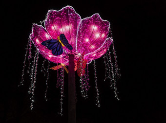 rhenen荷兰12月- - -中国人光节日的动物园手荷兰这中国人光节日显示的世界的中国人文化与的开始新一年中国人光节日与花和蝴蝶