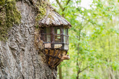 微型房子使树与窗户和小表格内部