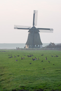 日落与老荷兰风车