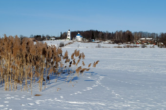 冬天农村景观与冻河而且干已经的海岸阳光明媚的一天