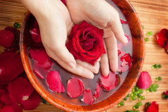 水疗中心沙龙美丽的女手与法国修指甲的竹子碗水与红色的玫瑰而且玫瑰花瓣的稻草席