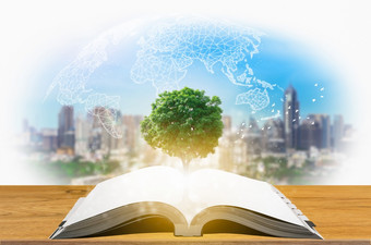 知识概念教育和知识与树日益增长的从开放书开放书