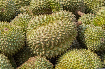 榴莲王水果水果泰国特征的气味是强烈的榴莲