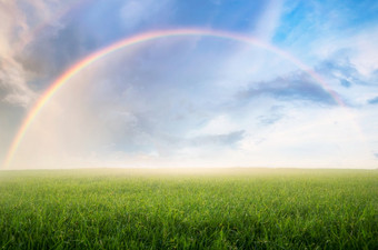 彩虹后的雨的天空在的美丽的绿色草地彩虹与草地