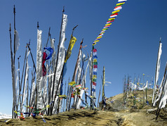佛教祈祷旗帜山坡上高的喜马拉雅山脉的王国不丹