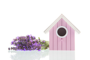 花束紫色的<strong>薰衣草</strong>与粉红色的鸟房子孤立的在白色背景