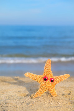 有趣的色彩斑斓的明星鱼的海滩