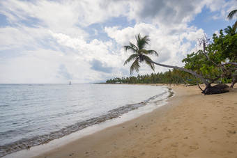 视图热带海滩与海沙子棕榈树和蓝色的天空大巴伊亚海滩波蒂略萨马纳半岛多米尼加共和国