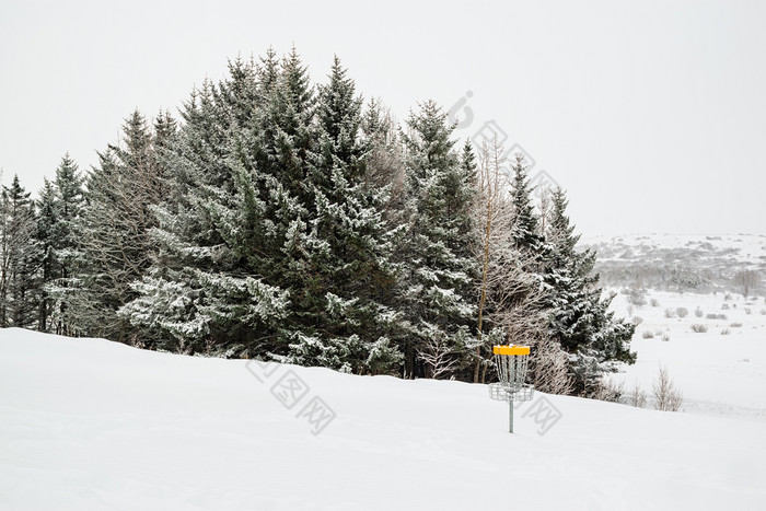 树下的雪和磁盘高尔夫球冬天一天Gardabaer冰岛树下的雪和磁盘高尔夫球冰岛