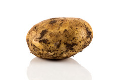 新鲜的脏土豆孤立的白色背景