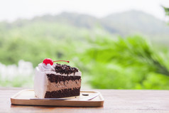 巧克力蛋糕与软集中山自然背景