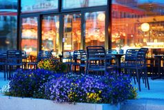 花床上附近挪威城市咖啡馆背景花床上附近挪威城市咖啡馆背景