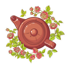 玫瑰茶茶壶插图白色背景玫瑰茶插图
