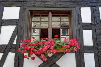 美丽的老窗口框架与花盒子天竺葵陇牛儿苗科窗口盒子农村窗口框架