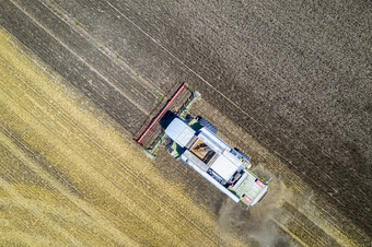 空中视图无人机收获场与结合割小麦收获的字段前视图