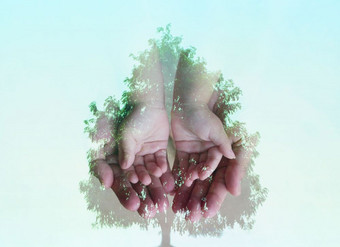 双曝光影响小手大手结合与大树概念自然生态环境