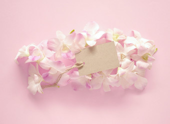 甜蜜的兰花花束与空白礼物标签为情人节周年纪念日消息粉红色的背景兰花bouquetwith标签粉红色的背景