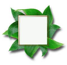 矩形金框架绿色叶背景