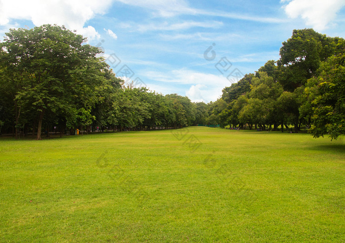 绿色草绿色树美丽的公园白色云蓝色的天空中午绿色草绿色树美丽的公园