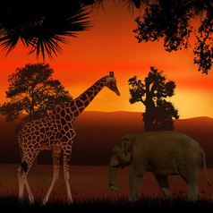 长颈鹿和大象非洲萨凡纳美丽的日落设计