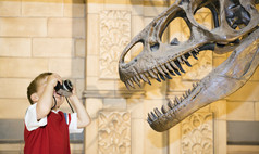 高加索人年轻的男孩拍摄暴龙雷克斯恐龙与老相机博物馆主题敬畏对比好奇心