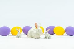复活节一天小家庭兔子兔子与装饰鸡蛋