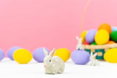 复活节一天小兔子兔子与装饰鸡蛋