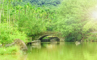 的热带公园与池塘和桥中国<strong>三亚</strong>热带公园与池塘和桥中国<strong>三亚</strong>
