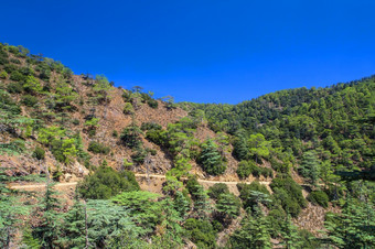 <strong>山和松树</strong>的雪松谷塞浦路斯对的蓝色的天空<strong>山和松树</strong>对的蓝色的天空