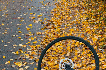 自行车轮背景黄色的叶子自行车秋天背景自行车秋天背景自行车轮背景黄色的叶子