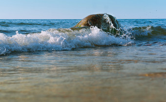的海波休息时间的岩石的海波支安打的海岸的海波支安打的海岸的海波休息时间的岩石
