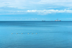 群天鹅的海蓝色的海和蓝色的天空蓝色的海和蓝色的天空群天鹅的海