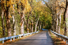 高速公路的秋天森林泛黄树的边缘的高速公路泛黄树的边缘的高速公路高速公路的秋天森林