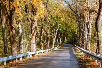 高速公路的秋天森林泛<strong>黄</strong>树的边缘的高速公路泛<strong>黄</strong>树的边缘的高速公路高速公路的秋天森林