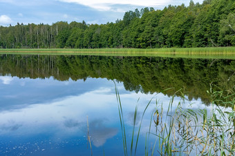 景观美丽的池塘森林自然池塘湖钓鱼池塘湖钓鱼池塘景观美丽的池塘森林自然池塘
