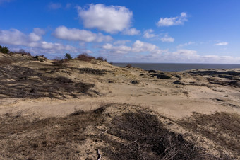 高沙子沙丘风景如画的海海岸库尔斯语随地吐痰的波罗的海海的海岸的波罗的海海高沙子沙丘风景如画的海海岸库尔斯语随地吐痰的波罗的海海