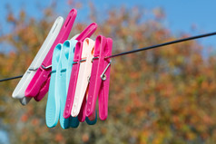蓝色的和粉红色的衣服针洗行花园