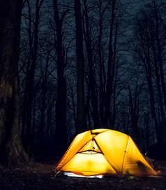 光帐篷的秋天森林在一夜之间游客光帐篷的秋天森林在一夜之间游客