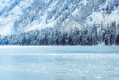 冬天山湖与白雪覆盖的松树的海岸冷淡的天气雾在的冬天湖锋利的减少温度数量白雪覆盖的树的河