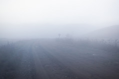 神秘的路的雾