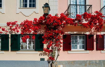 房子建<strong>传统</strong>的葡萄牙语体系结构和覆盖红色的叶子花属阿尔加夫葡萄牙房子建<strong>传统</strong>的葡萄牙语体系结构和覆盖红色的叶子花属阿尔加夫葡萄牙房子建<strong>传统</strong>的葡萄牙语体系结构和覆盖红色的叶子花属阿尔加夫葡萄牙
