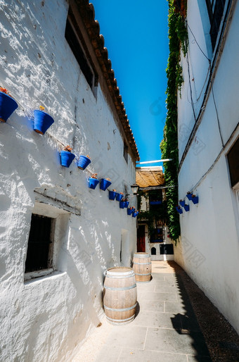 白色墙与蓝色的花锅科尔多瓦安达卢西亚西班牙白色墙与蓝色的花锅科尔多瓦安达卢西亚西班牙