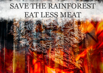 愤怒的松木森林火与肉帕蒂烧烤烧烤保存的热带雨林概念吃少肉愤怒的松木森林火与肉帕蒂烧烤烧烤保存的热带雨林概念