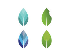 树叶向量标志设计环保概念