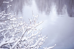 冬天背景与空间为文本树分支机构覆盖与雪对的背景模糊的湖