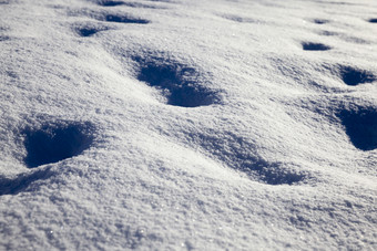 雪地里雪后大降雪的表面在那里是违规行为从痕迹人和土壤结构特写镜头雪地里雪后大降雪