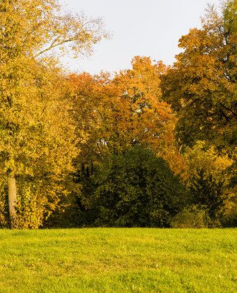 秋天色彩斑斓的景观与树和色彩斑斓的树叶公园为走秋天色彩斑斓的景观